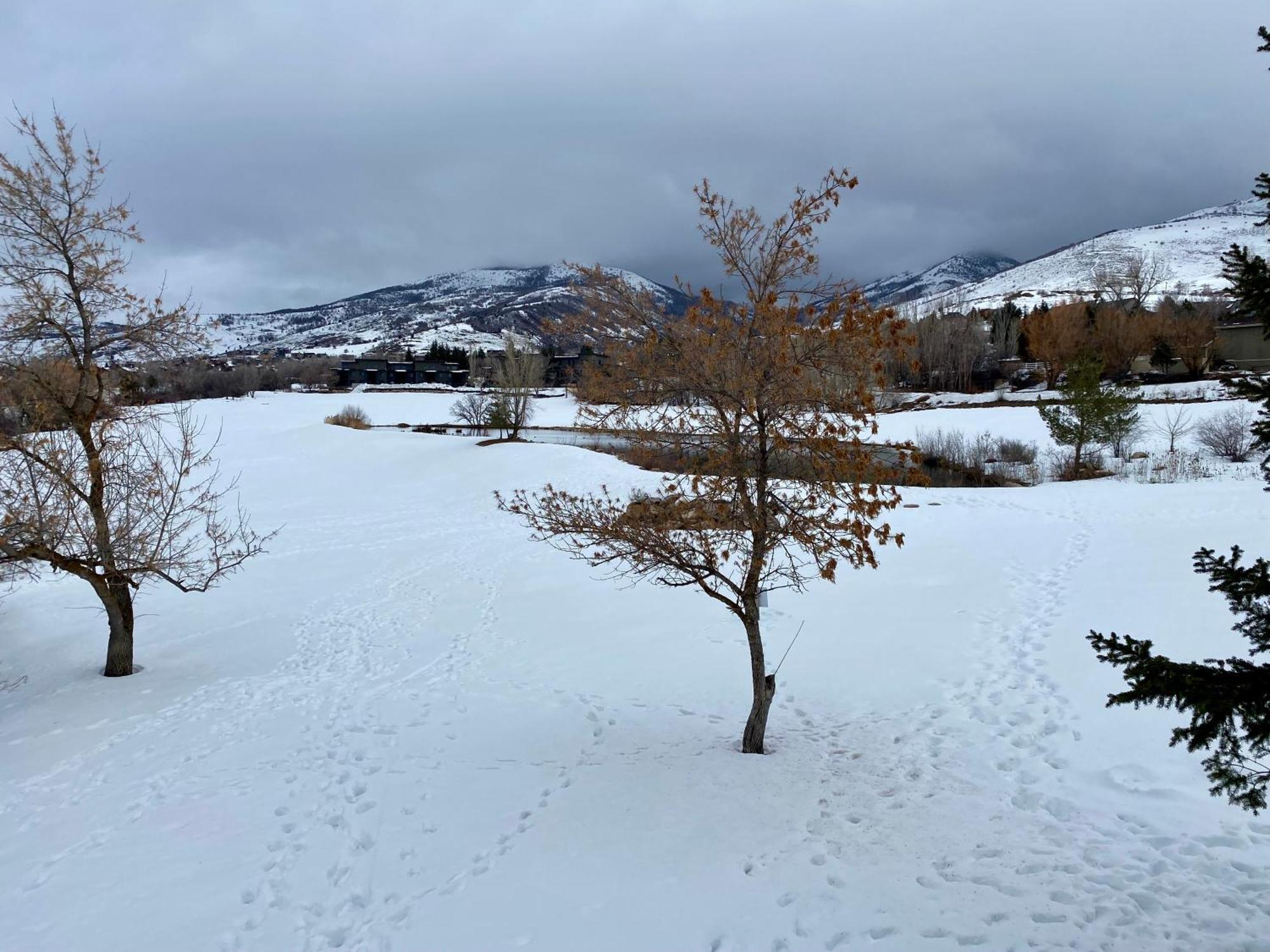 Wolf Creek Lodge Condo In Eden, Ut - Relaxing Mountain Retreat Eksteriør bilde