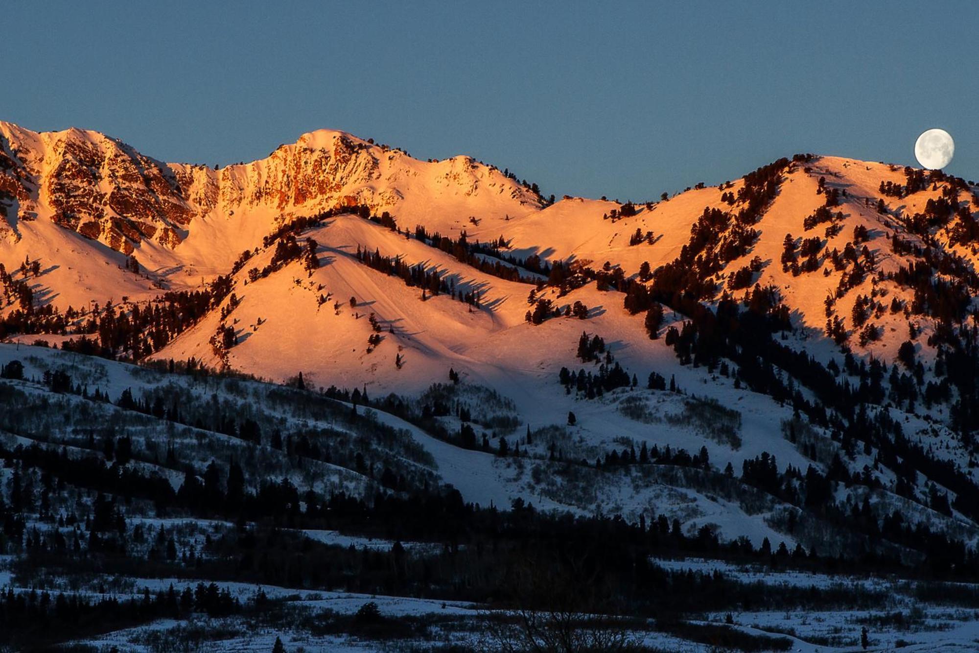 Wolf Creek Lodge Condo In Eden, Ut - Relaxing Mountain Retreat Eksteriør bilde